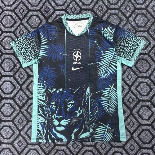 Fan Version 2025 Brazil Special Edition Soccer Jersey Brasil Camisetas de Futbol