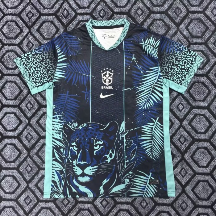 Fan Version 2025 Brazil Special Edition Soccer Jersey Brasil Camisetas de Futbol