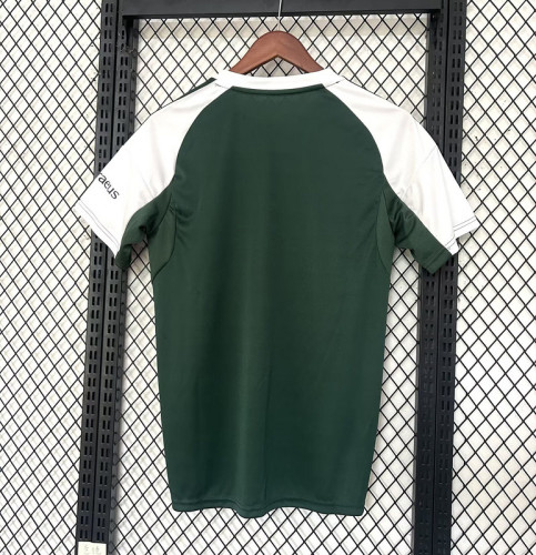 Fan Version 2025-2026 Panathinaikos Home Soccer Jersey Football Shirt