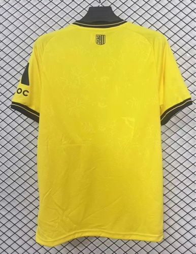 Fan Version 2025-2026 Dynamo Dresden Home Soccer Jersey Football Shirt
