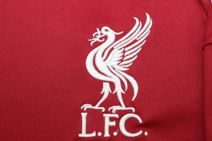 Fan Version 2025-2026 Liverpool Home Soccer Jersey Football Shirt