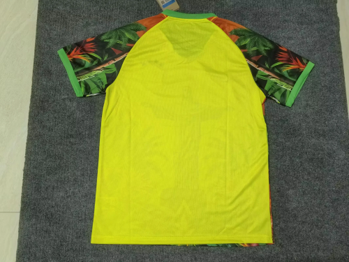 Fan Version 2025 Brazil Yellow Jesus Edition Soccer Jersey Brasil Camisetas de Futbol