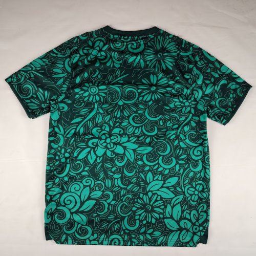 Fan Version 2025-2026 Palestine Black/Green Special Version Soccer Jersey FC Palestina Football Shirt