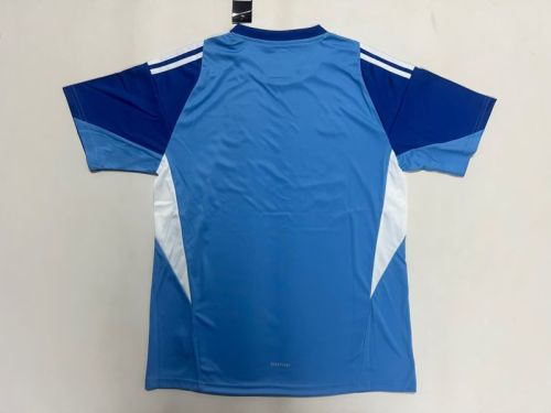 Fan Version 2025-2026 Liverpool Blue Goalkeeper Soccer Jersey Football Shirt