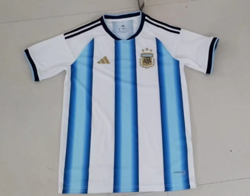 Fan Version 2025 Argentina Home Soccer Jersey Football Shirt