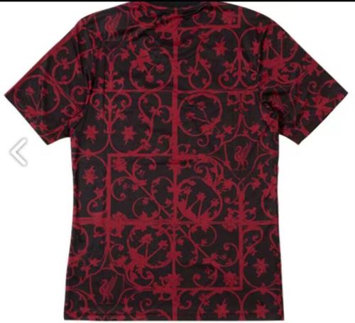 Fan Version 2025-2026 Liverpool Red/Black Soccer Pre-match Jersey Football Shirt