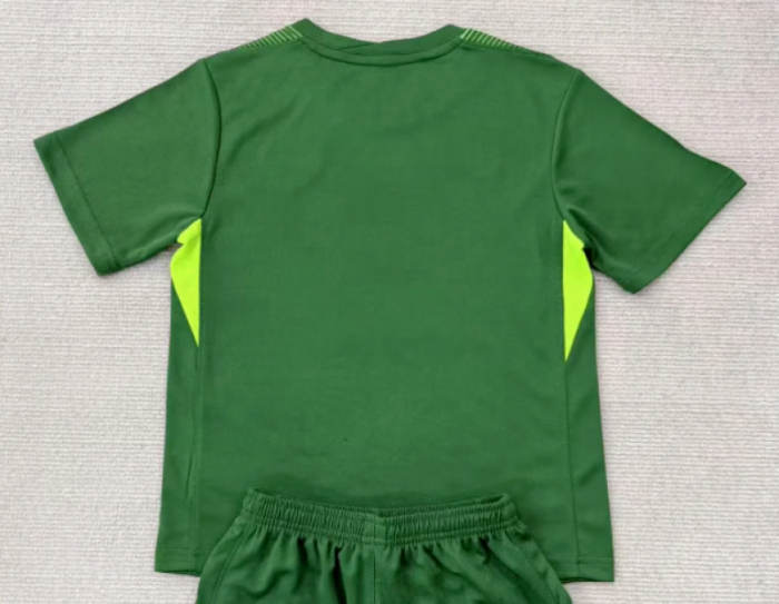 Fan Version 2025-2026 PSG Green Goalkeeper Soccer Jersey Paris Football Maillot