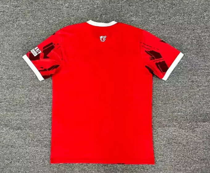 Fan Version 2025-2026 1. FC Kaiserslautern Home Soccer Jersey Football Shirt