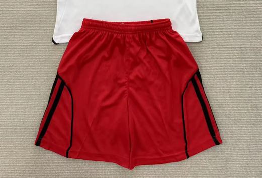 Fan Version 2025-2026 Hamburg Home Soccer Shorts Football Shorts