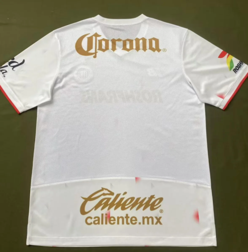 Fan Version 2025-2026 Deportivo Toluca Away Soccer Jersey Football Shirt