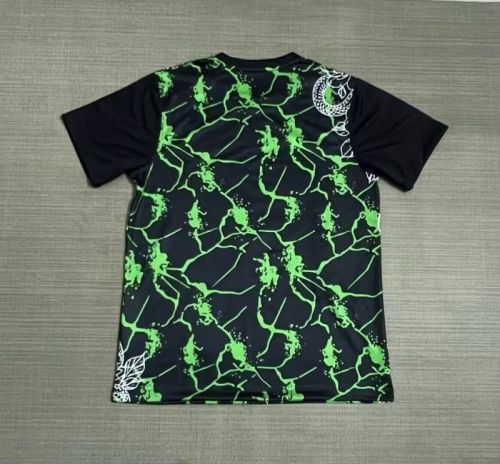 Fan Version 2025-2026 Inter Milan Black/Green Snake Edition Soccer Jersey Football Shirt