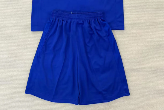 Fan Version 2025-2026 Birmingham City Home Soccer Shorts Football Shorts