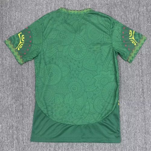 Fan Version 2025-2026 Mali Green Soccer Jersey Football Shirt