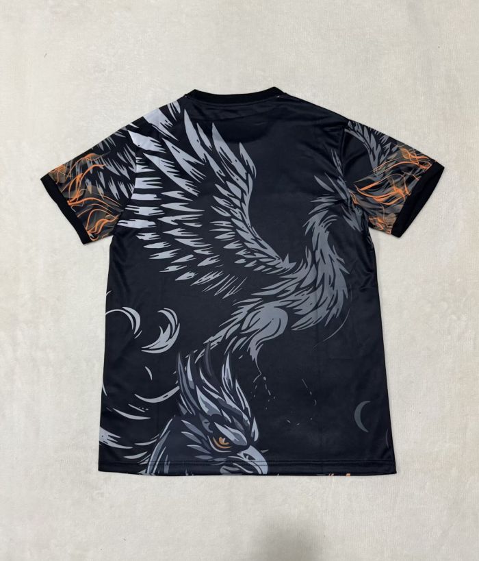 Fan Version 2025-2026 Liverpool Black Special Edition Soccer Jersey Football Shirt