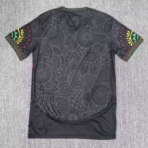 Fan Version 2025-2026 Mali Black Soccer Jersey Football Shirt