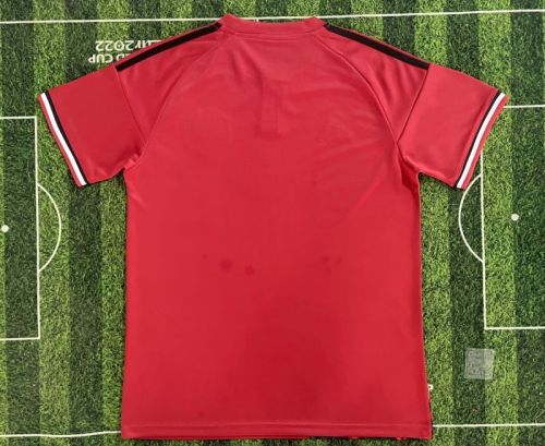 Fan Version 2025-2026 Manchester United Red Special Edition Soccer Training Jersey Football Shirt
