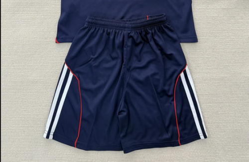 Fan Version 2025-2026 Lyon Away Soccer Shorts Football Shorts