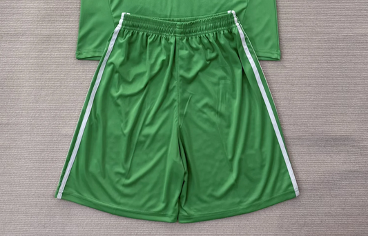 Fan Version 2025-2026 Lyon Green Goalkeeper Soccer Shorts Football Shorts