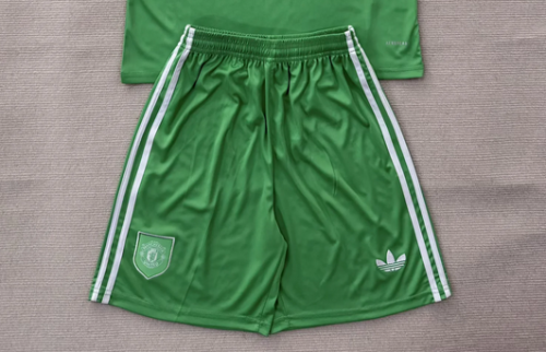 Fan Version 2025-2026 Lyon Green Goalkeeper Soccer Shorts Football Shorts