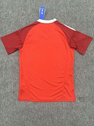 Fans Version 2025-2026 Flamengo Red Goalkeeper Soccer Jersey Football Shirt