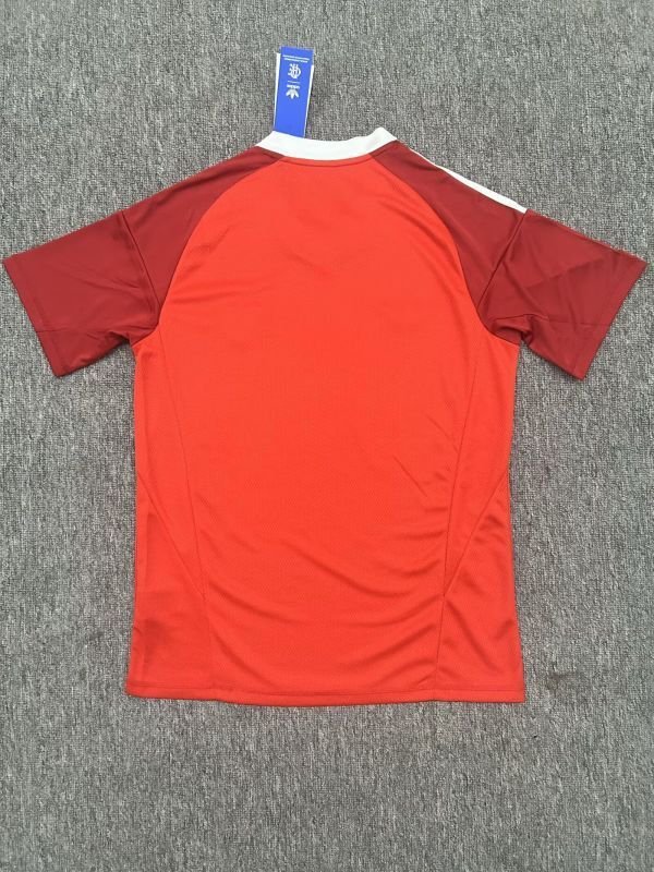 Fans Version 2025-2026 Flamengo Red Goalkeeper Soccer Jersey Football Shirt