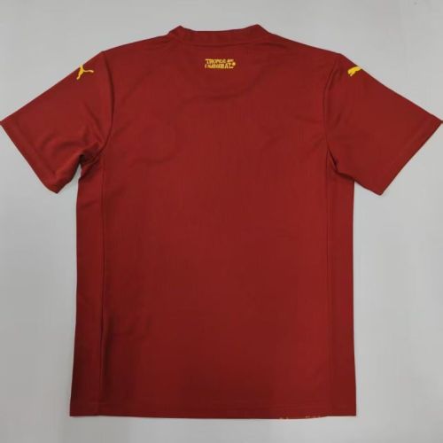 Fan Version 2025-2026 Bahia Third Away Red Soccer Jersey Football Shirt