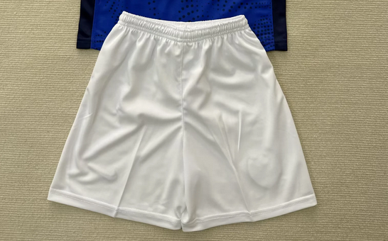 Fan Version 2025-2026 Portsmouth Home Soccer Shorts Football Shorts