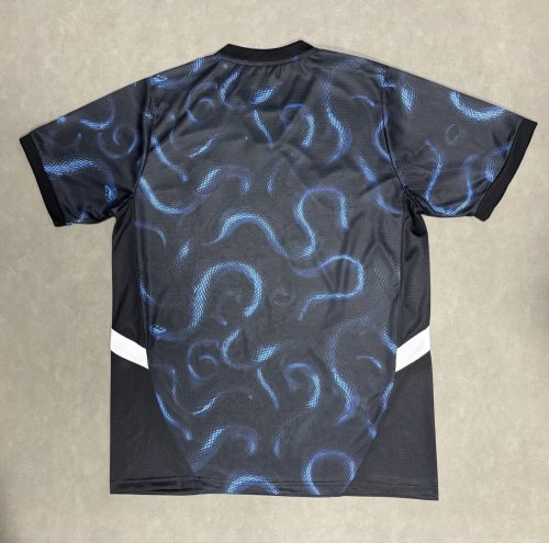 Fan Version 2025-2026 Inter Milan Special Edition Soccer Jersey Football Shirt