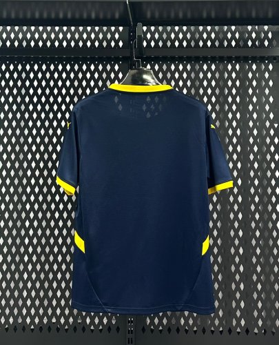 Fan Version 2025-2026 Fenerbahce Fourth Away Soccer Jersey Fenerbahçe Football Shirt