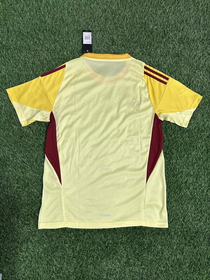 Fan Version 2024-2025 Venezuela Yellow Goalkeeper Soccer Jersey Football Shirt