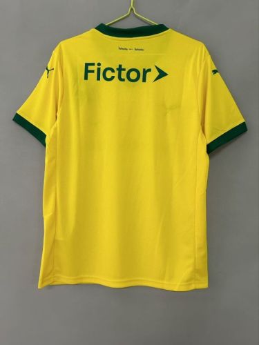 Fan Version 2025-2026 Palmeiras Third Away Yellow Soccer Jersey Football Shirt
