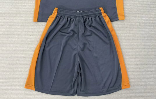 Fan Version 2025-2026 Derby County Away Grey Soccer Shorts Football Shorts