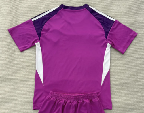 Fan Version 2025-2026 Leeds United Purple Goalkeeper Soccer Jersey Football Shirt