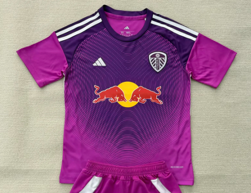 Fan Version 2025-2026 Leeds United Purple Goalkeeper Soccer Jersey Football Shirt