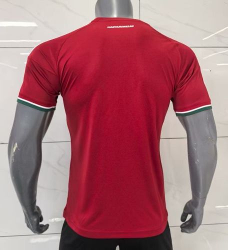 Fan Version Hungary 2026 Home Soccer Jersey Football Shirt