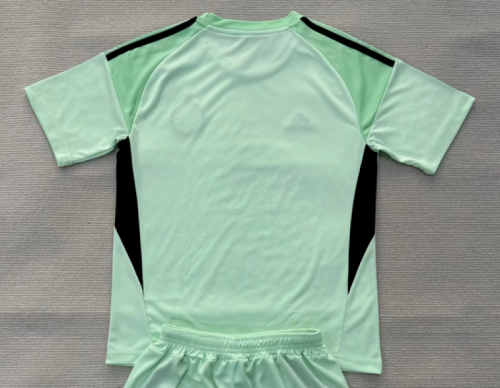 with Sponor Logo Fan Version 2025-2026 Celtic Green Goalkeeper Soccer Jersey Football Shirt