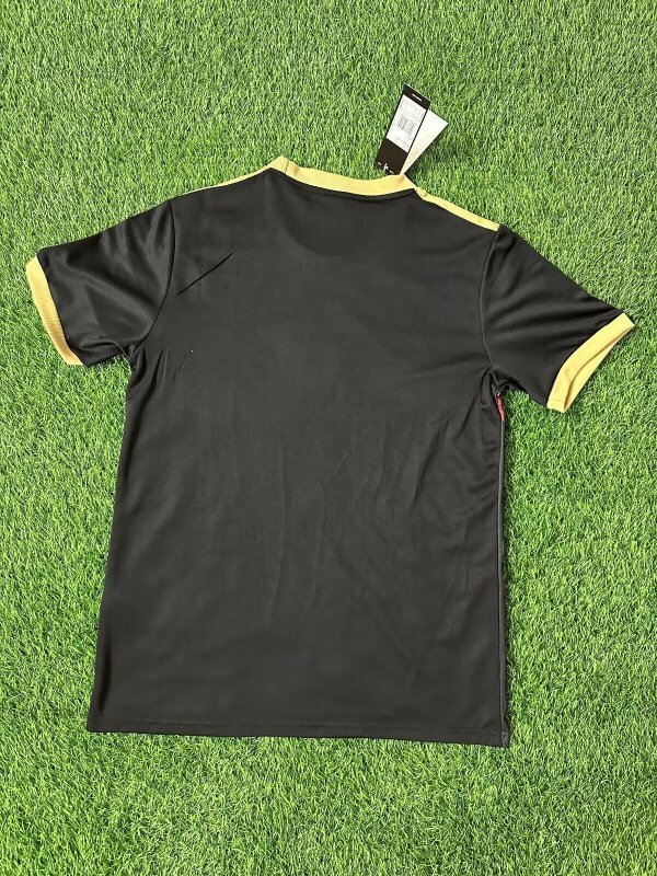 Fan Version 2025-2026 Benfica Black/Red Special Edition Soccer Jersey Football Shirt