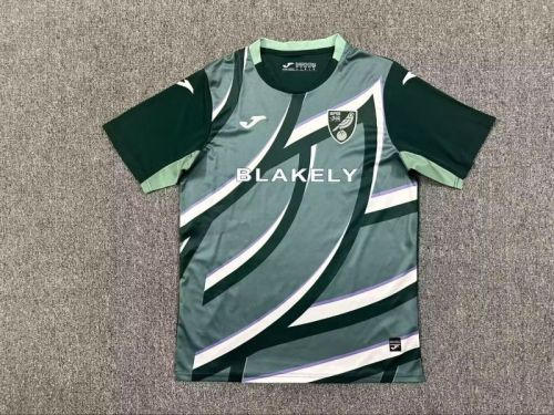 Fans Version 2025-2026 Norwich City Away Green Soccer Jersey Football Shirt