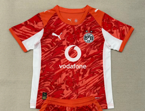 Fan Version 2025-2026 Borussia Dortmund Orange Goalkeeper Soccer Jersey BVB Football Shirt