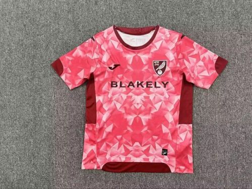 Fans Version 2025-2026 Norwich City Third Away Pink Soccer Jersey Football Shirt