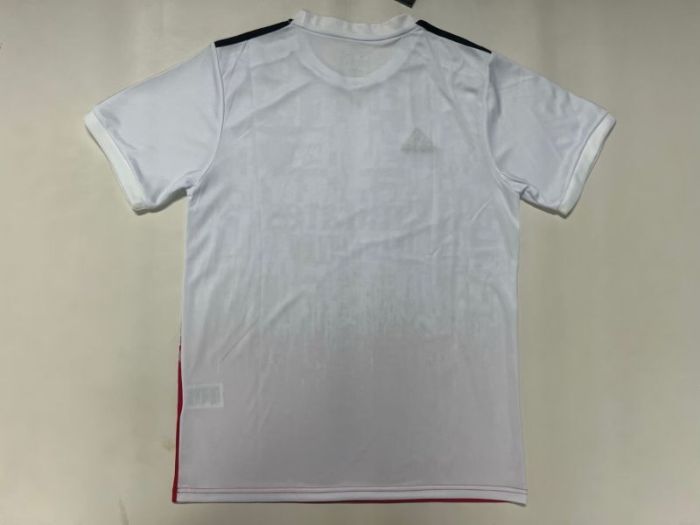 Fan Version 2025-2026 Benfica White/Grey/Red Special Edition Soccer Jersey Football Shirt