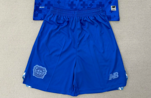 Fan Version 2025-2026 Leverkusen Third Away Blue Soccer Shorts Football Shorts