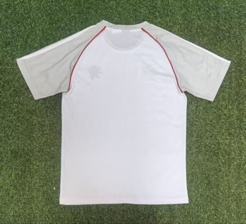 Fan Version 2025-2026 Lyon White/Grey Soccer Training Jersey Olympique Lyonnais Football Shirt