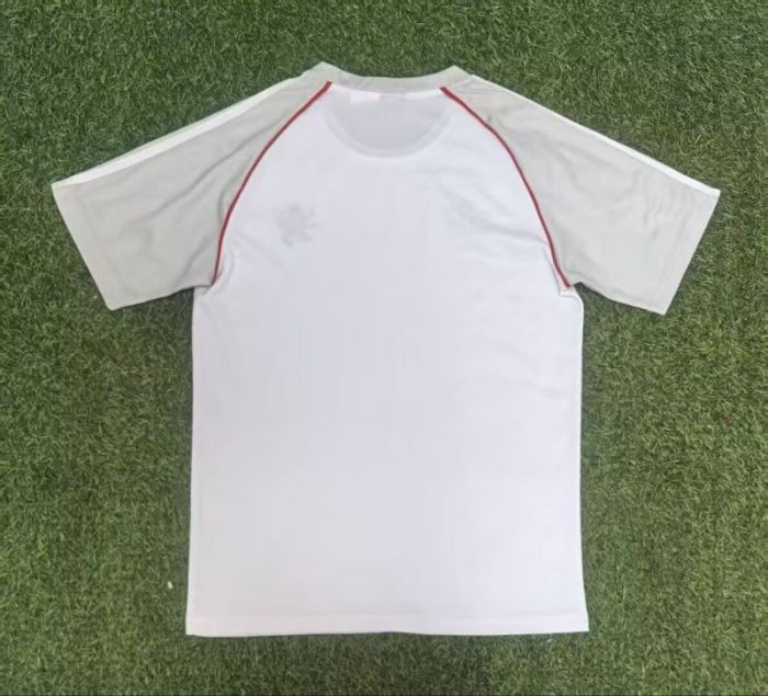 Fan Version 2025-2026 Lyon White/Grey Soccer Training Jersey Olympique Lyonnais Football Shirt