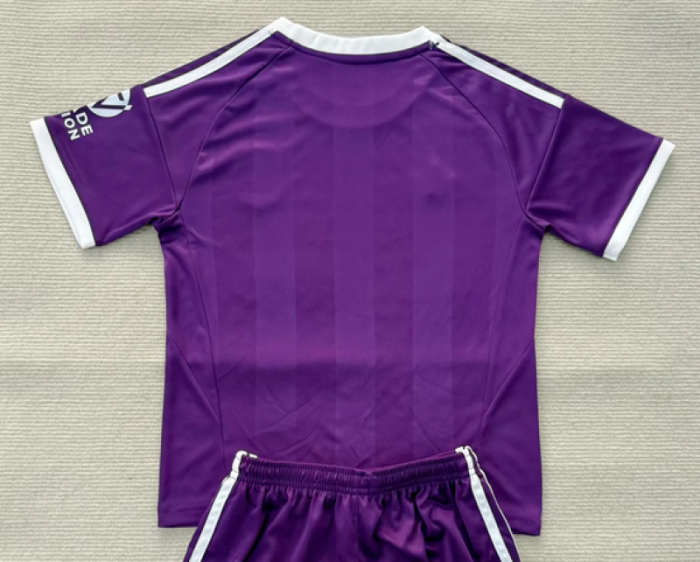 with Sponor Logo Fan Version 2025-2026 Aston Villa Purple Goalkeeper Football Shirt Soccer Jersey
