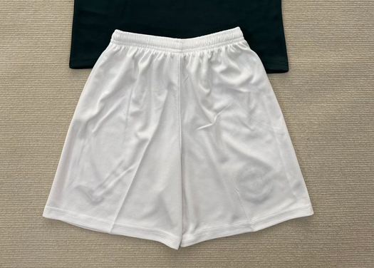 Fan Version 2025-2026 Hibernian Home Soccer Shorts Football Shorts