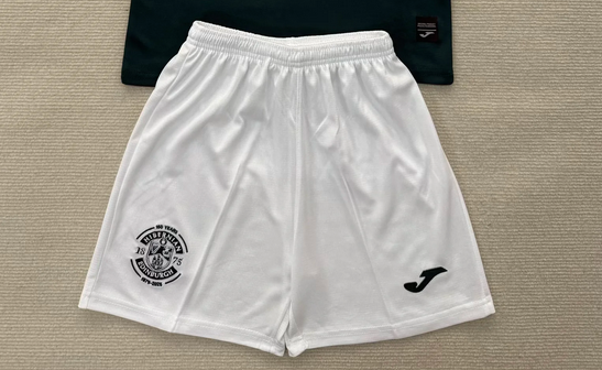 Fan Version 2025-2026 Hibernian Home Soccer Shorts Football Shorts