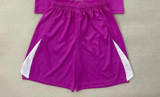 Fan Version 2025-2026 Arsenal Purple Goalkeeper Soccer Shorts Football Shorts