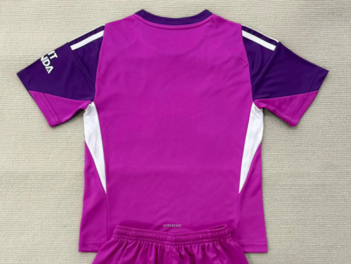Fan Version Arsenal 2025-2026 Purple Goalkeeper Soccer Jersey Football Shirt