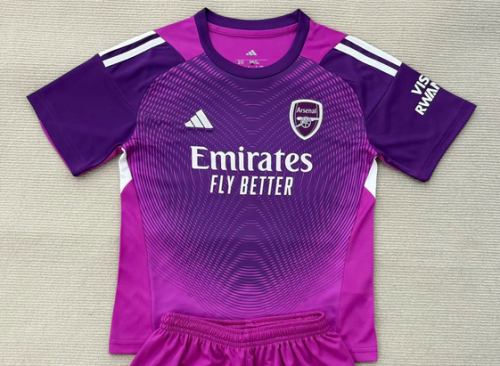 Fan Version Arsenal 2025-2026 Purple Goalkeeper Soccer Jersey Football Shirt